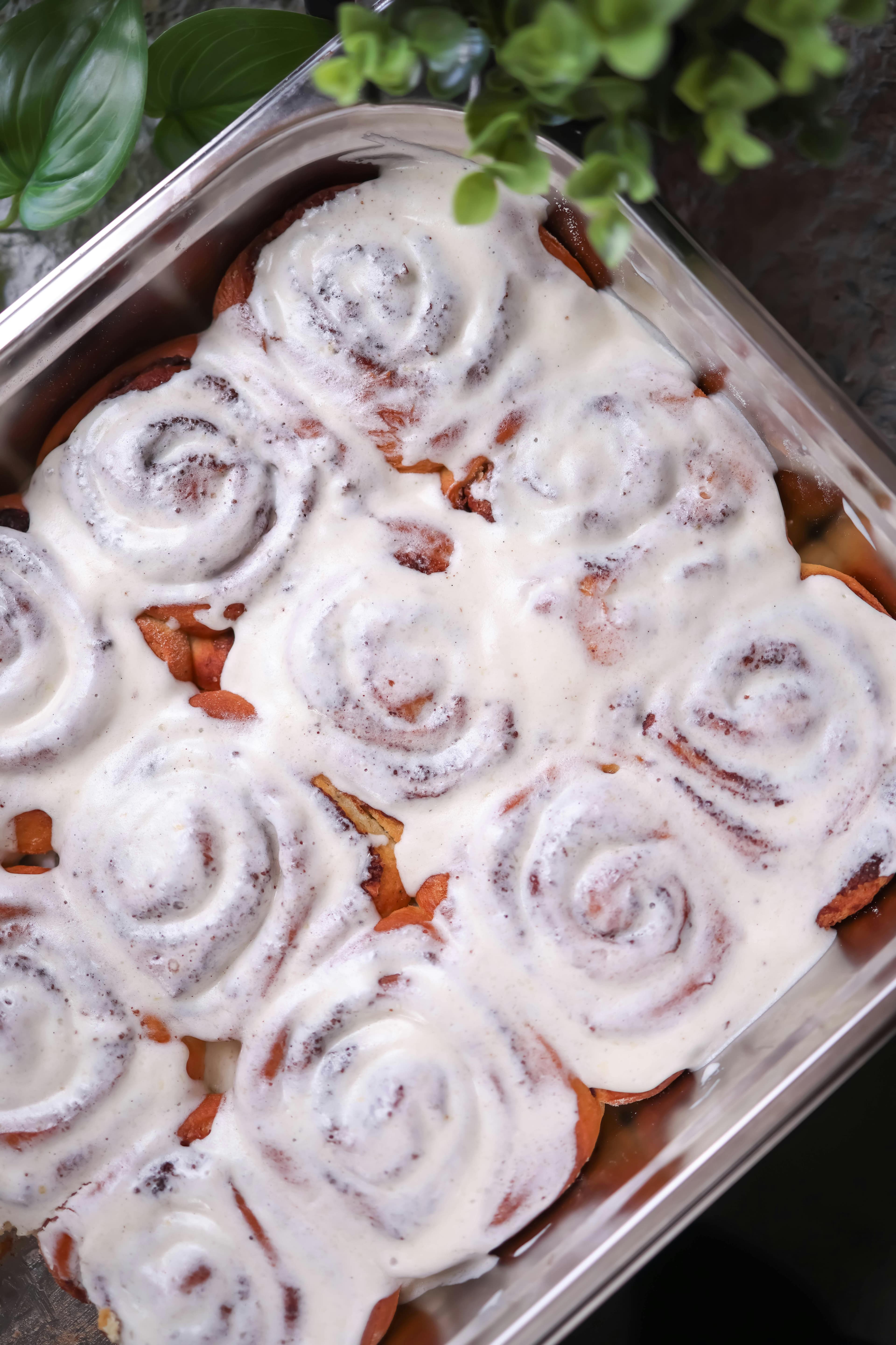 Fresh baked cinnamon rolls in a tray